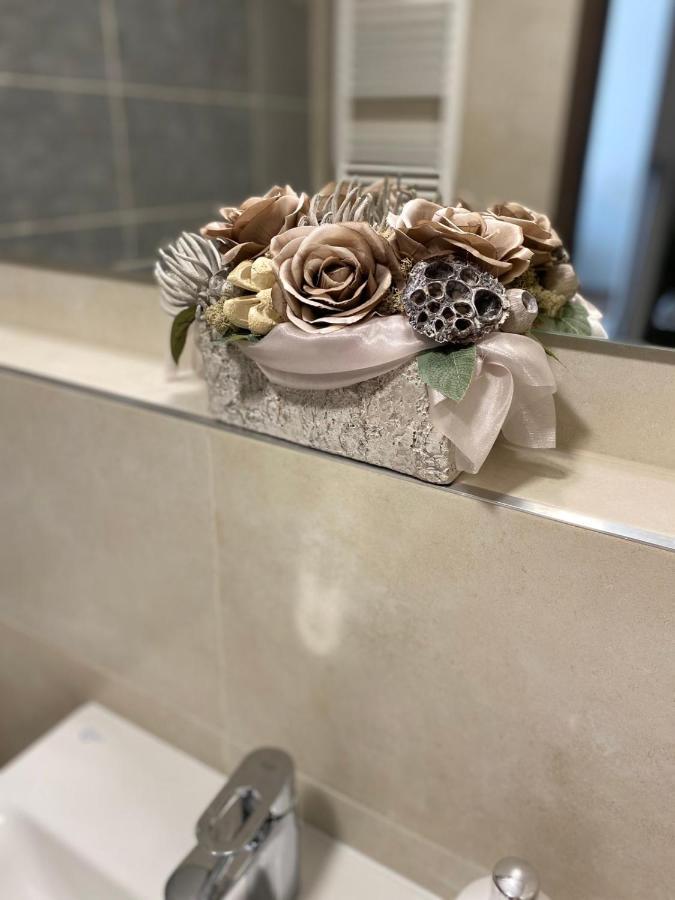 Die Oase - Luxurious Apartment Near The City Center With Free Parking براتسيلافا المظهر الخارجي الصورة